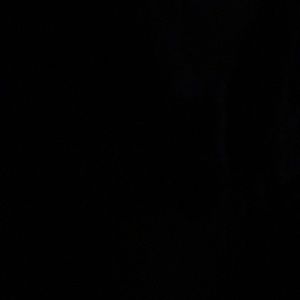 Meet your Posher, Selena